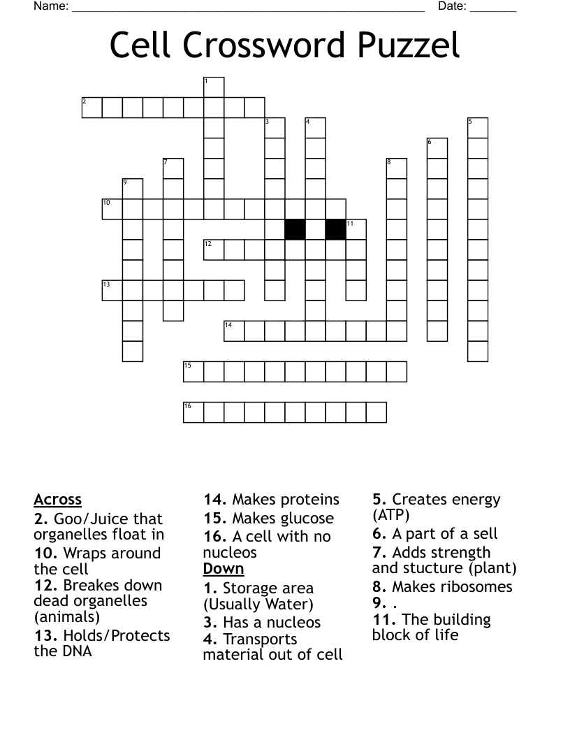 Cell Crossword Puzzel