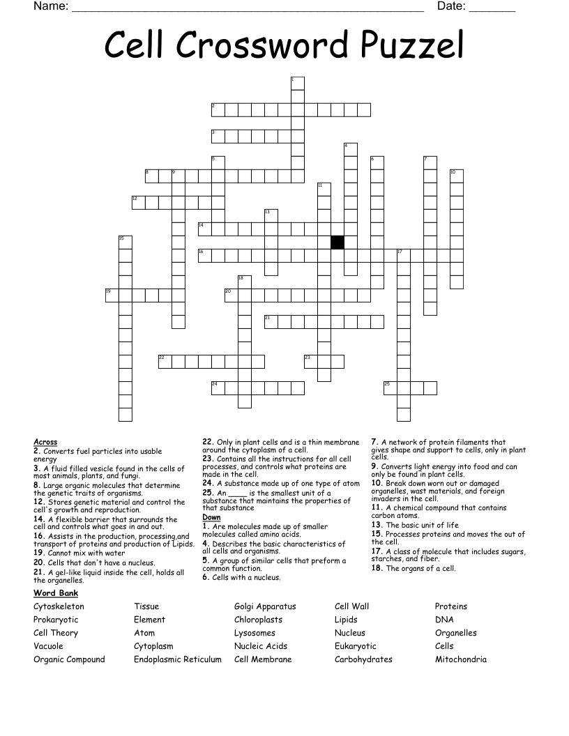 Cell Crossword Puzzel