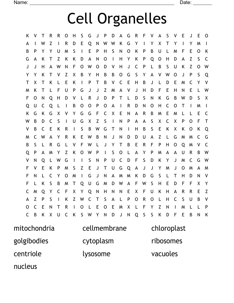Cell Organelles Word Search