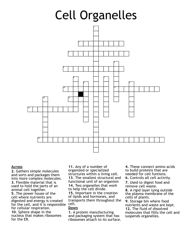 Cell Organelles Crossword