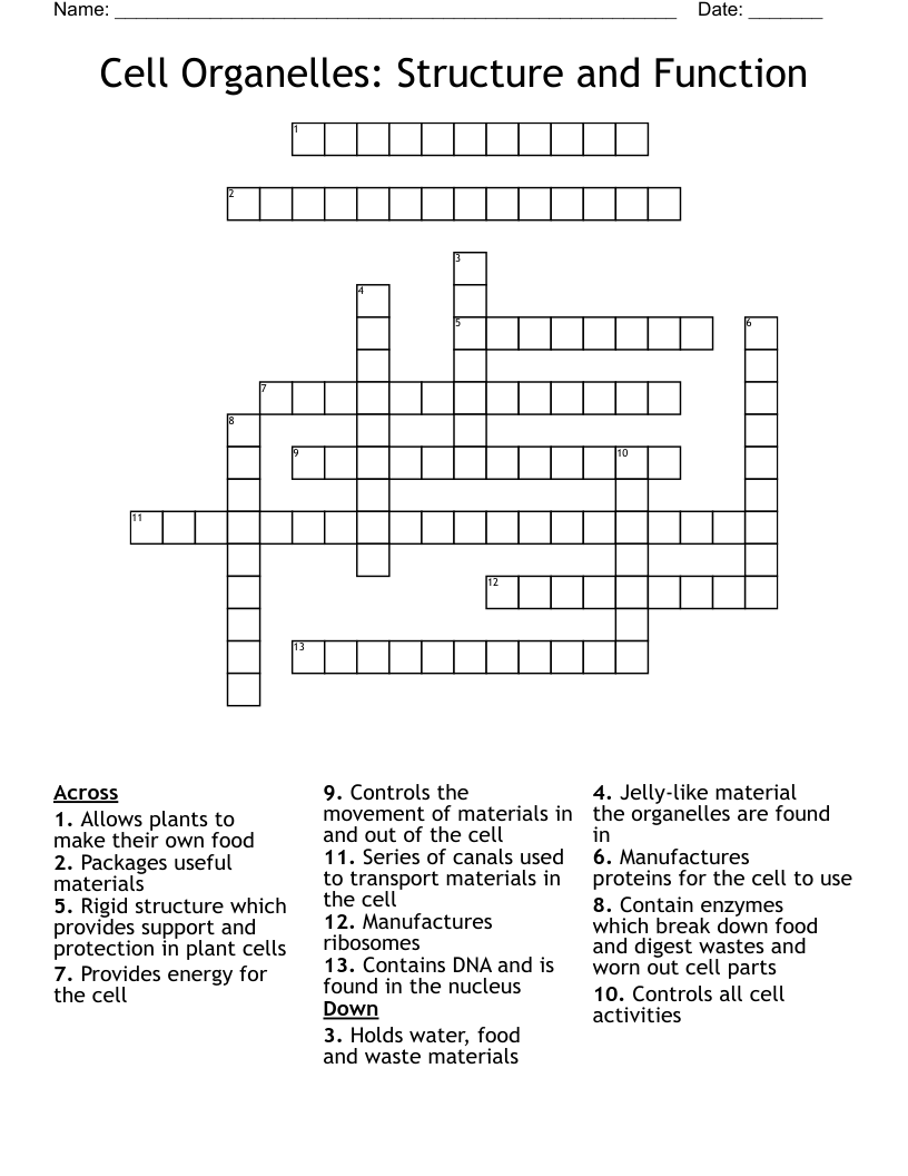 Cell Structure And Function Worksheet