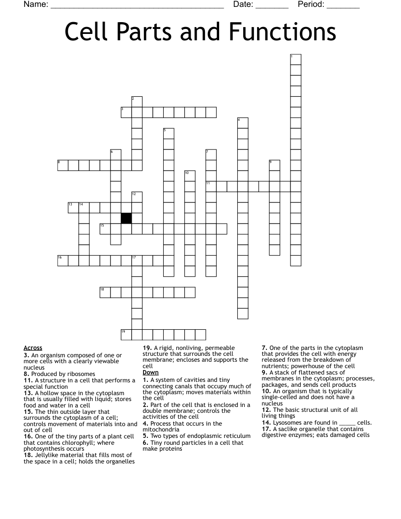 Cell Parts and Functions Crossword - WordMint