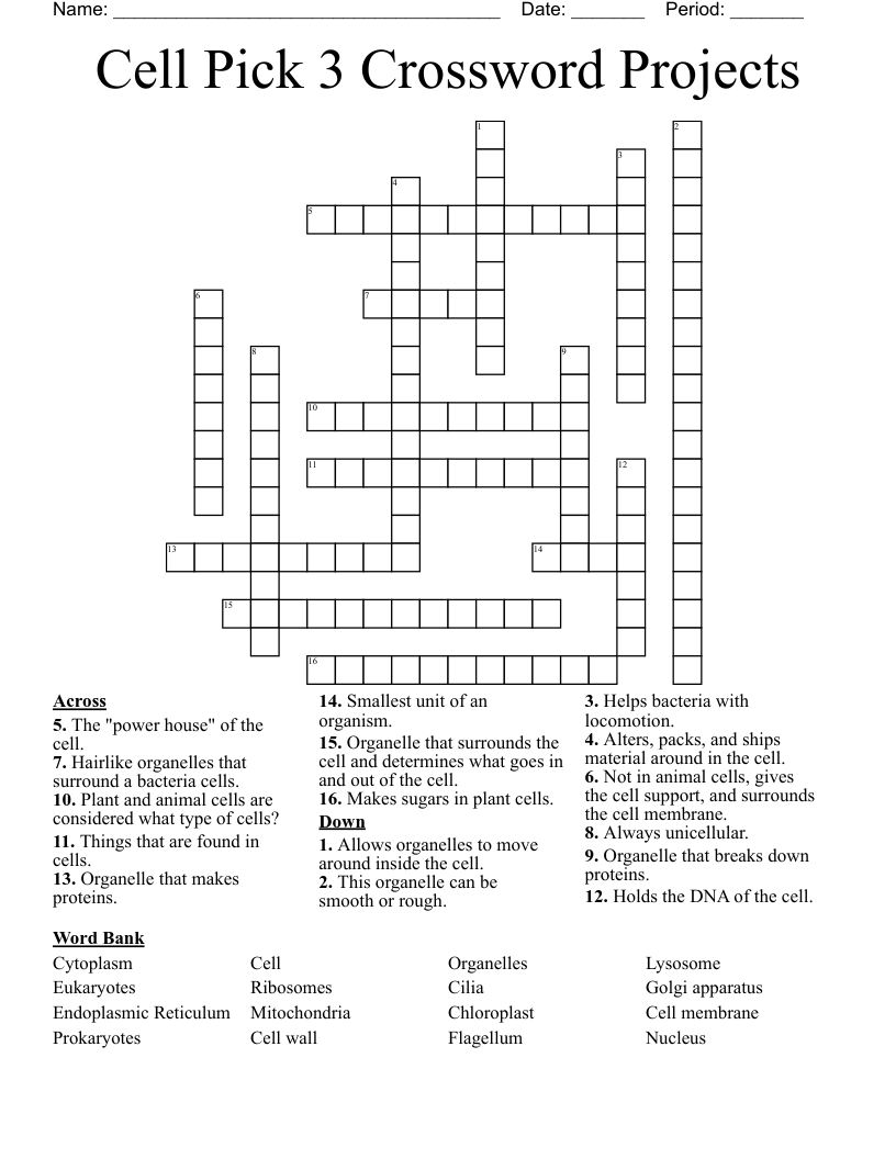 Cell Pick 3 Crossword Projects