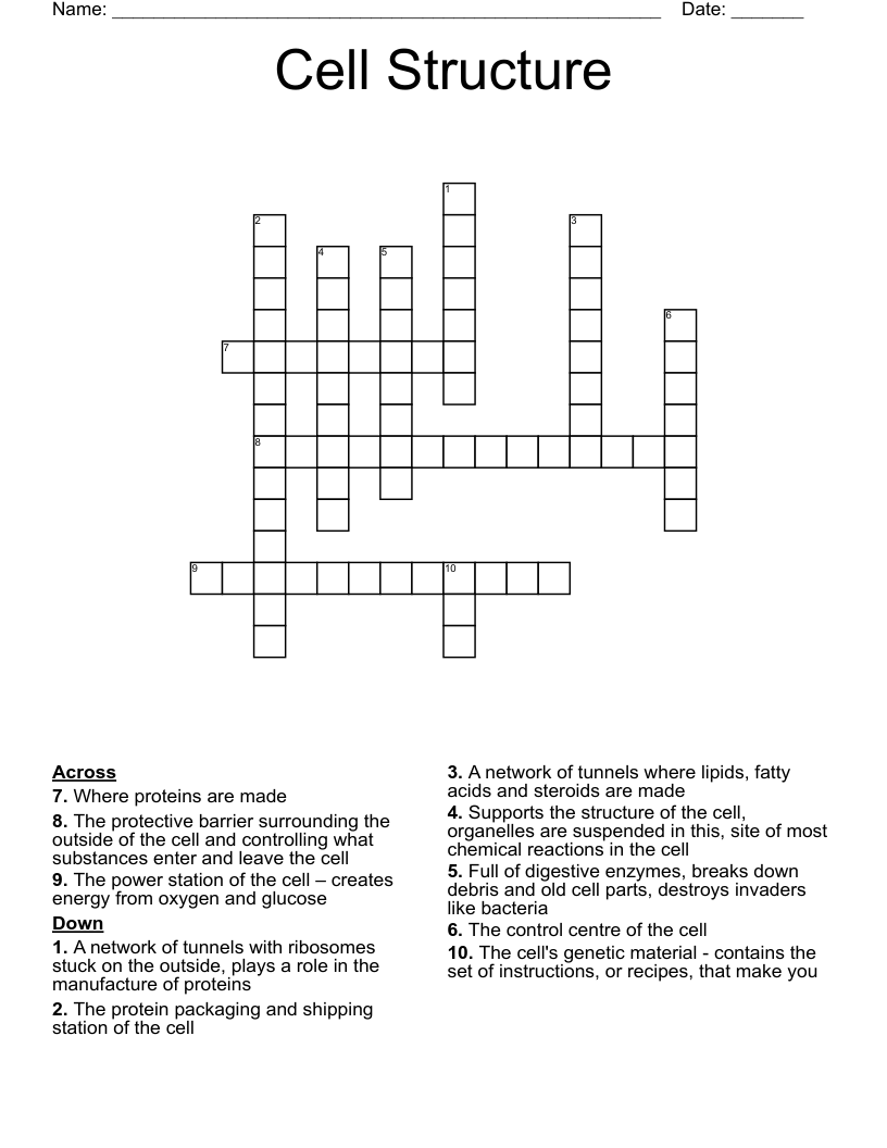 Cell Structure Crossword