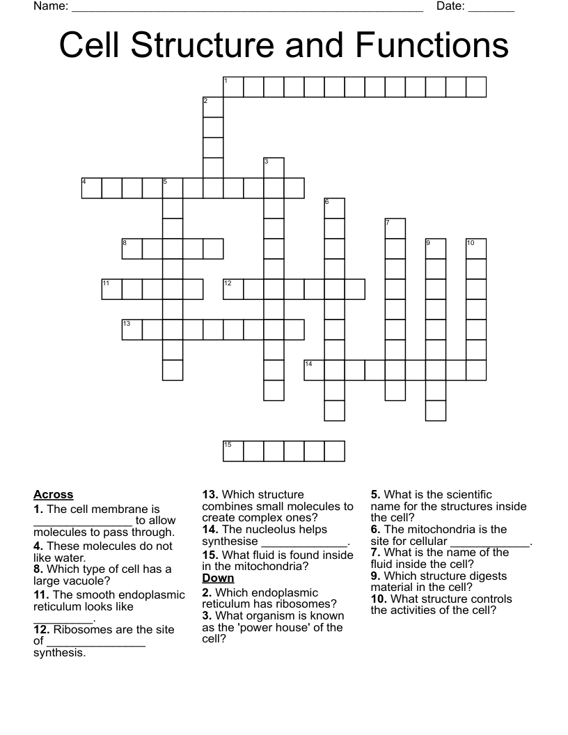 Cell Structure and Functions Crossword