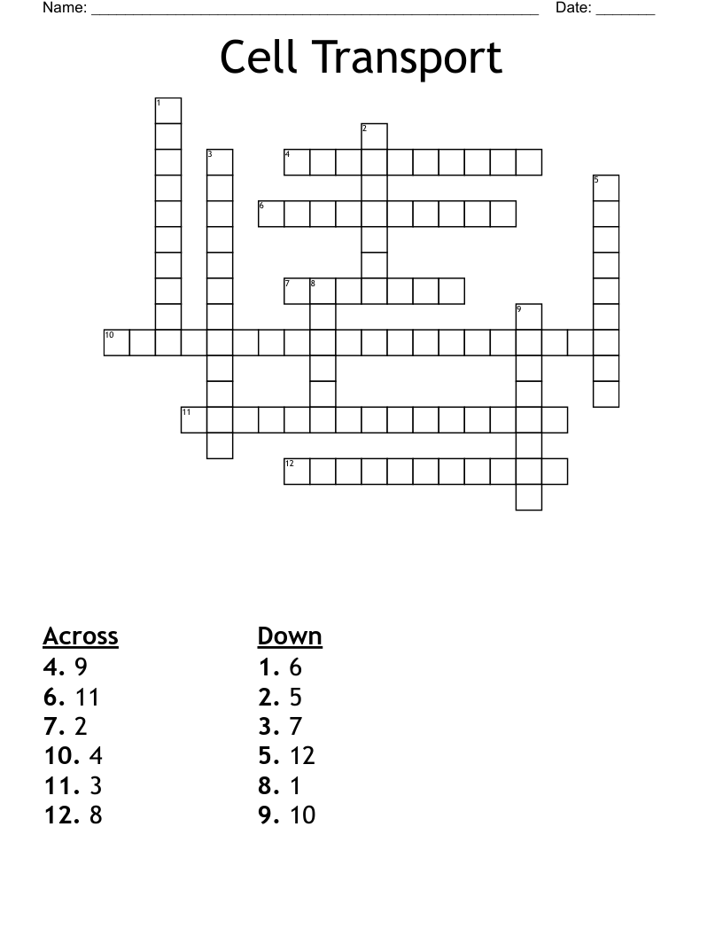 Cell Transport Crossword Puzzle Pdf Concentration Of Solute Molecules 