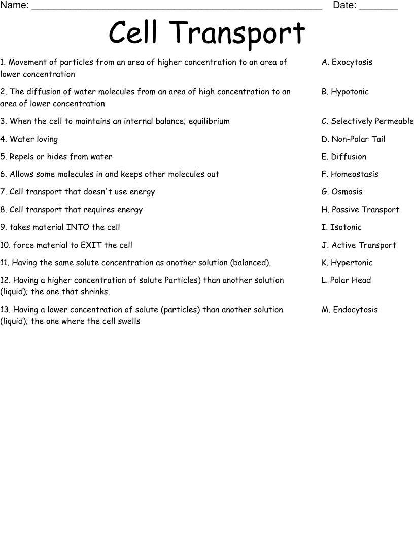 40 Cellular Transport Worksheet Answer Key Worksheet For Fun