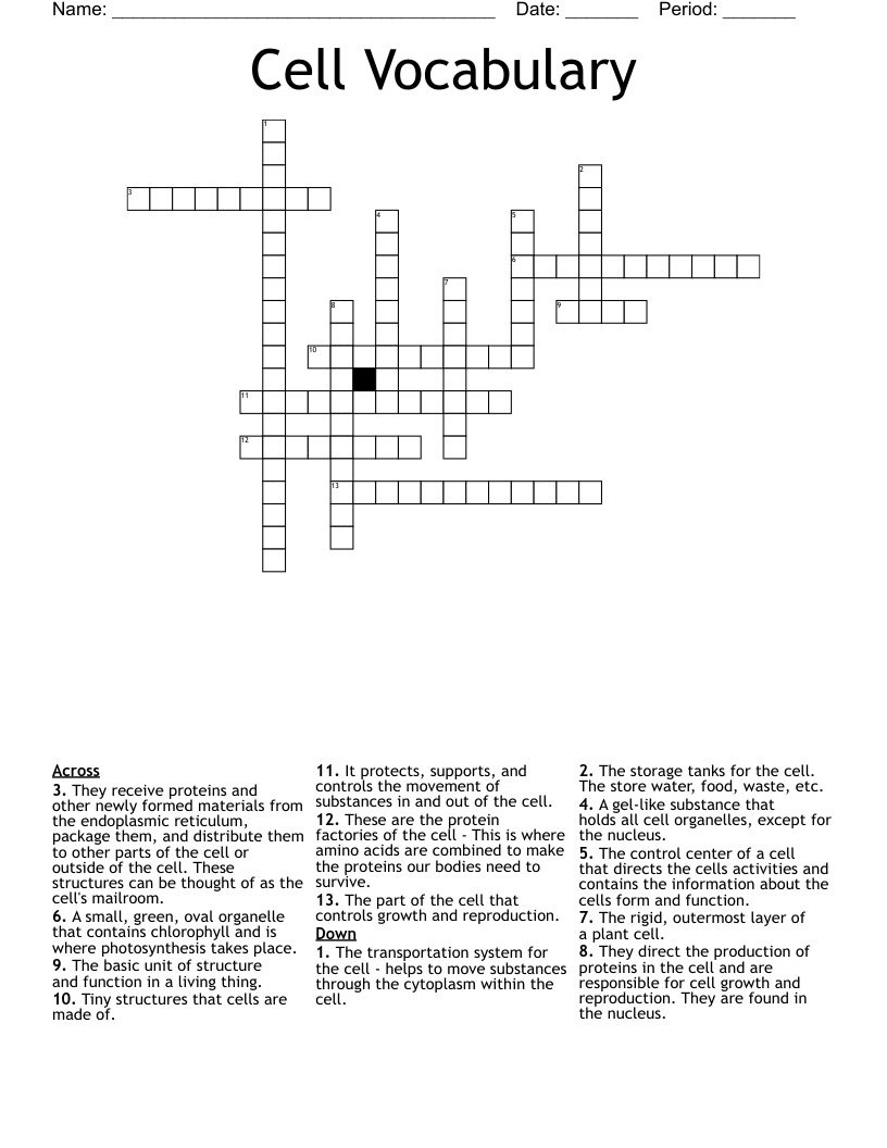 Cell Vocabulary Crossword - WordMint