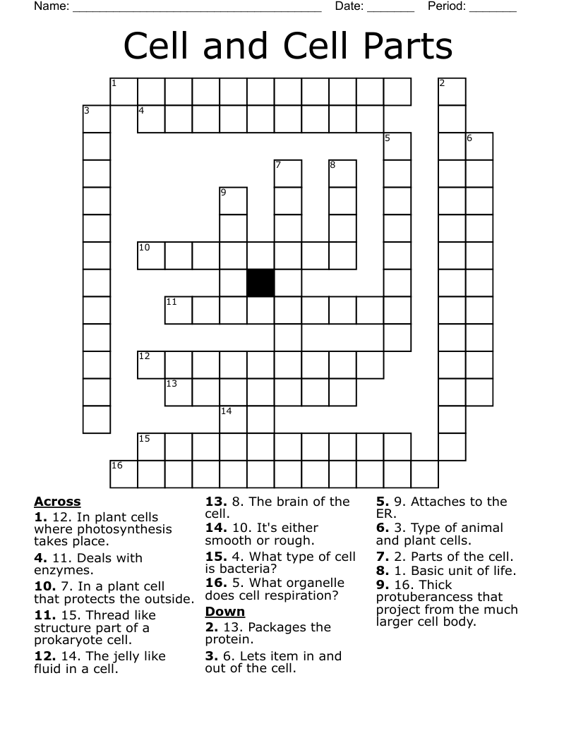 Cell And Cell Parts Crossword WordMint