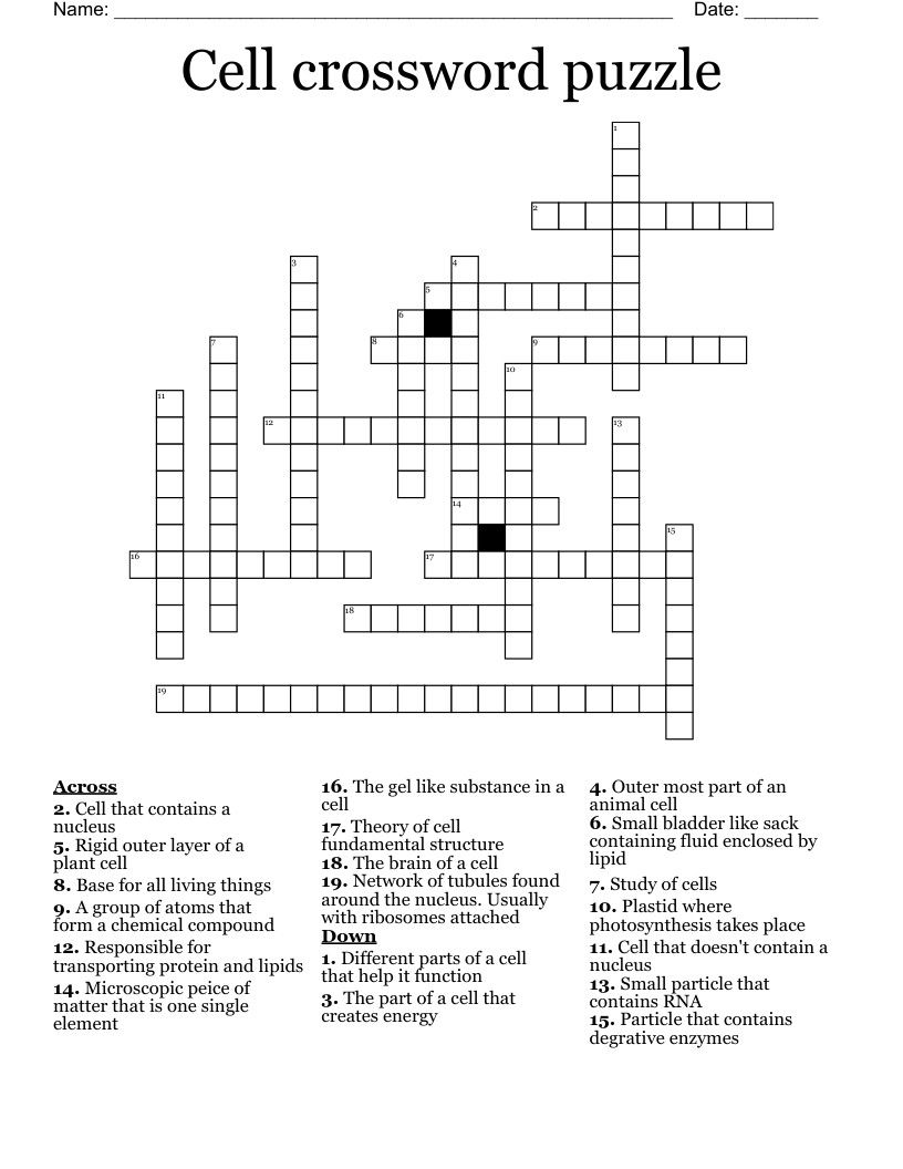 Organic Molecules Theory Cell Crossword Wordmint Bank2home