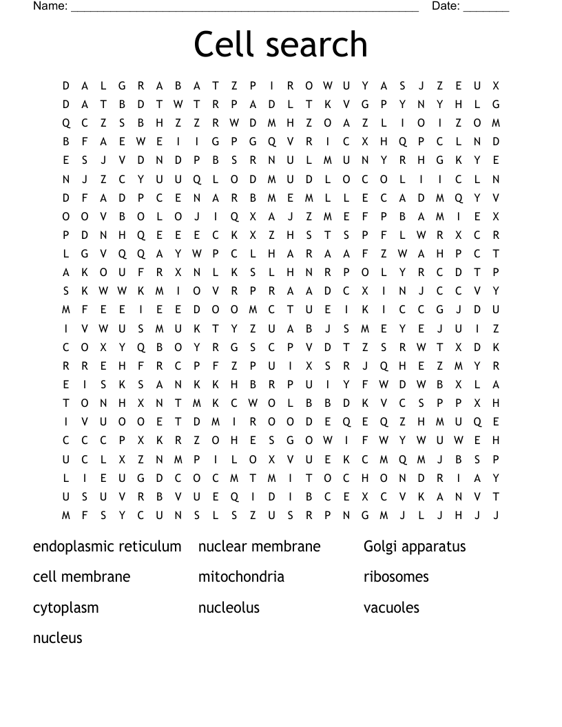 Cell search Word Search