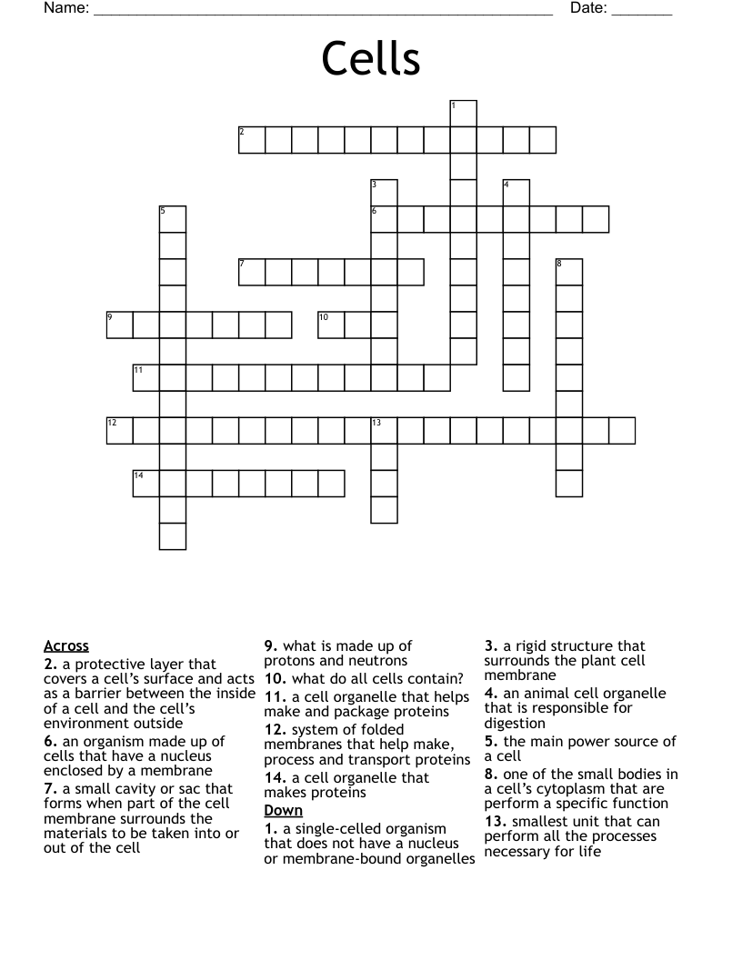 Cells Crossword