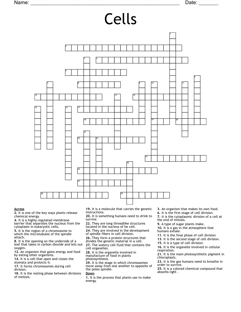Cells Crossword