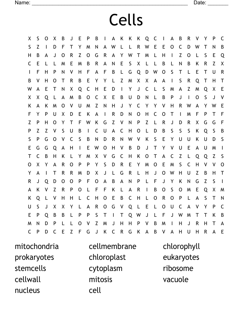 Cells Word Search