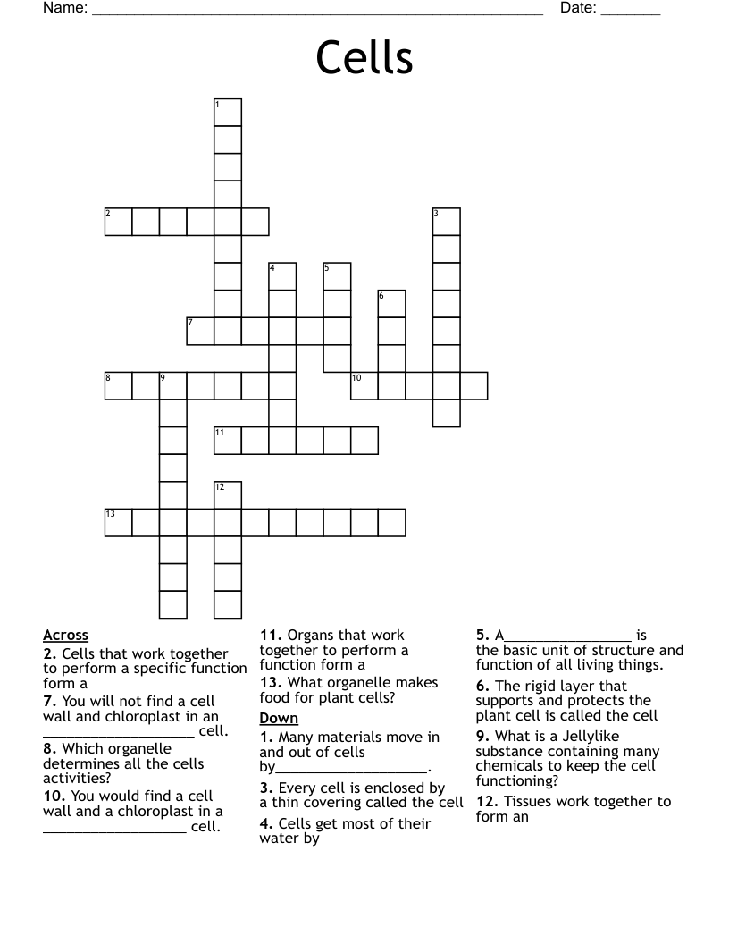 Cells Crossword WordMint