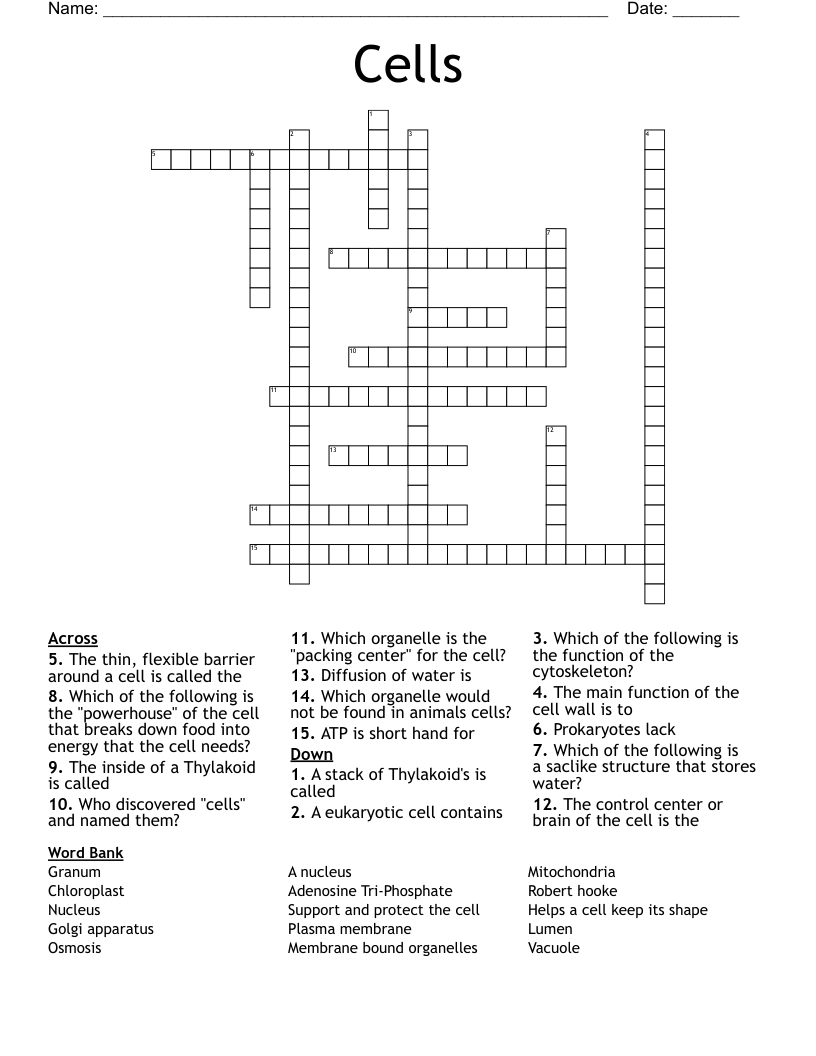 Cells Crossword