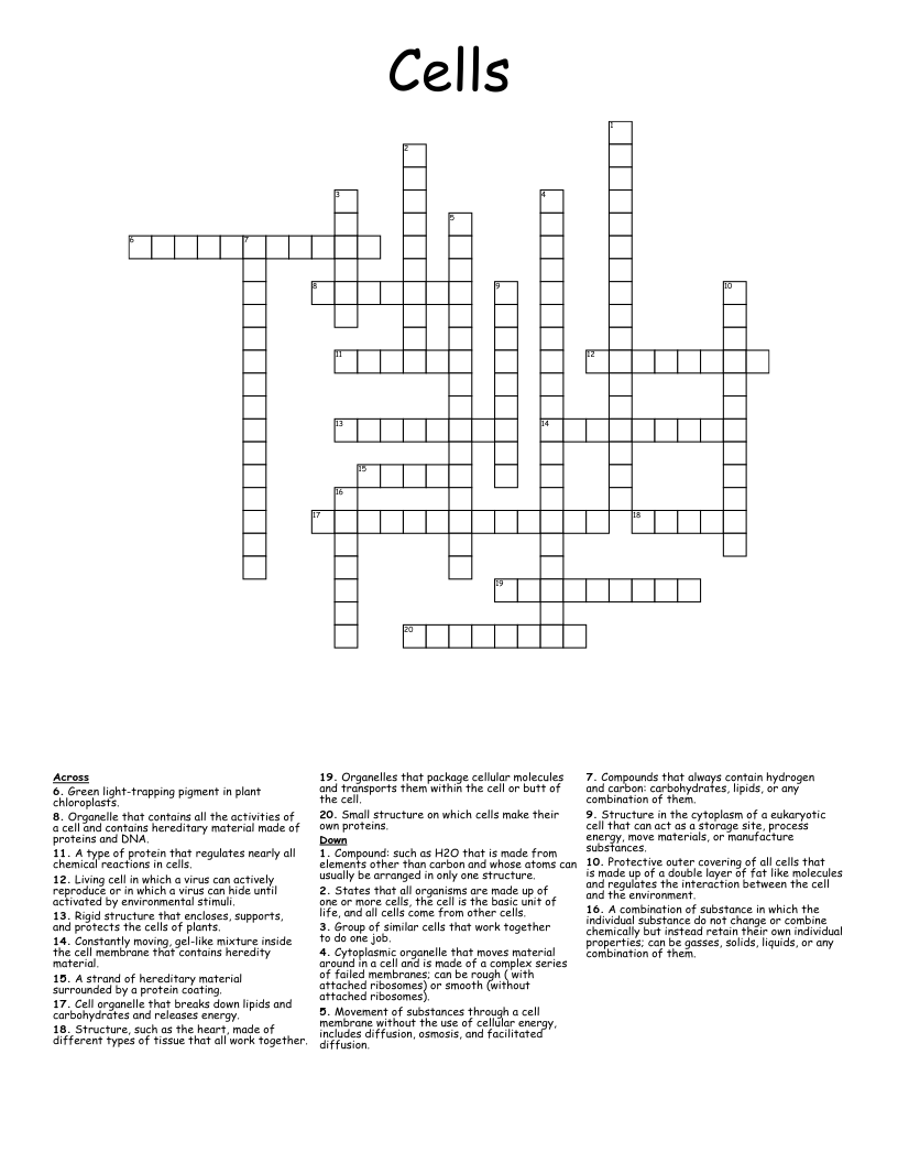 Cells Crossword