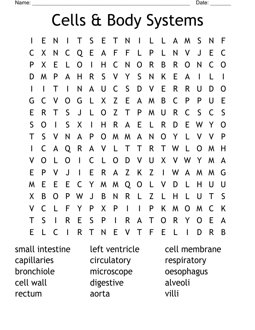 Cells & Body Systems Word Search
