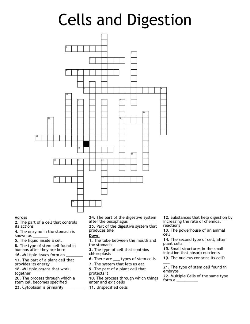 Cells and Digestion Crossword WordMint