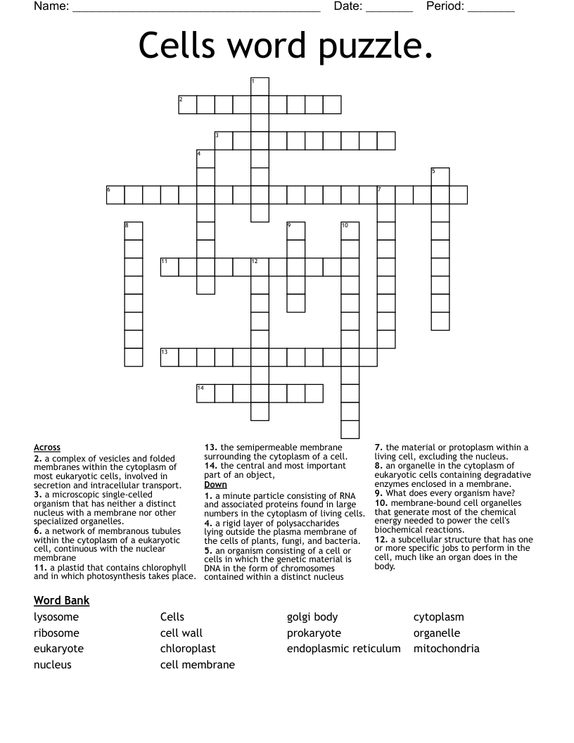 Cells word puzzle. Crossword