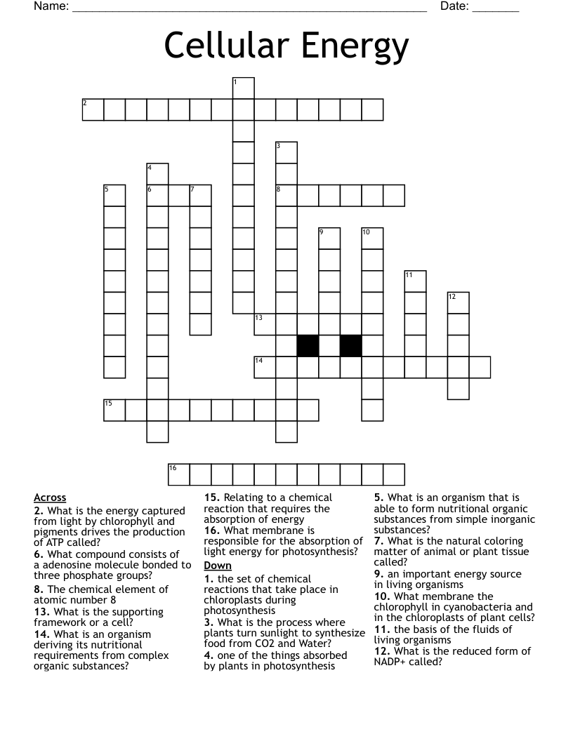 Cellular Energy Crossword - WordMint