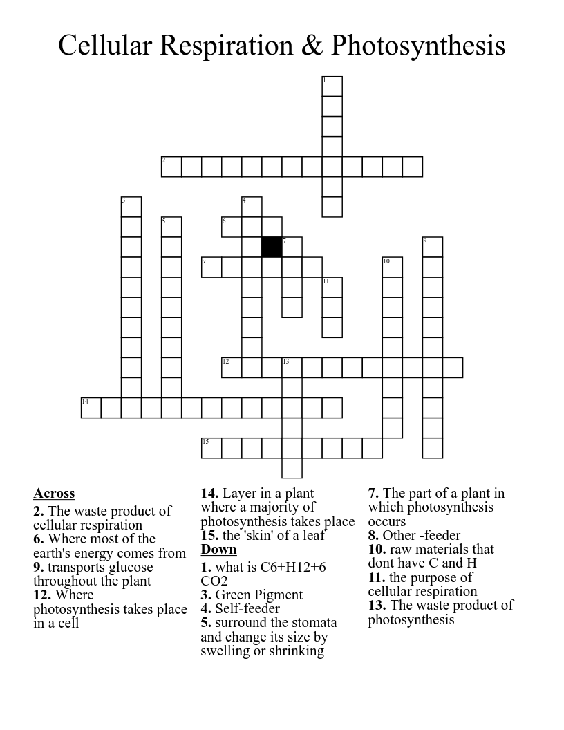 Cellular Respiration Photosynthesis Crossword WordMint