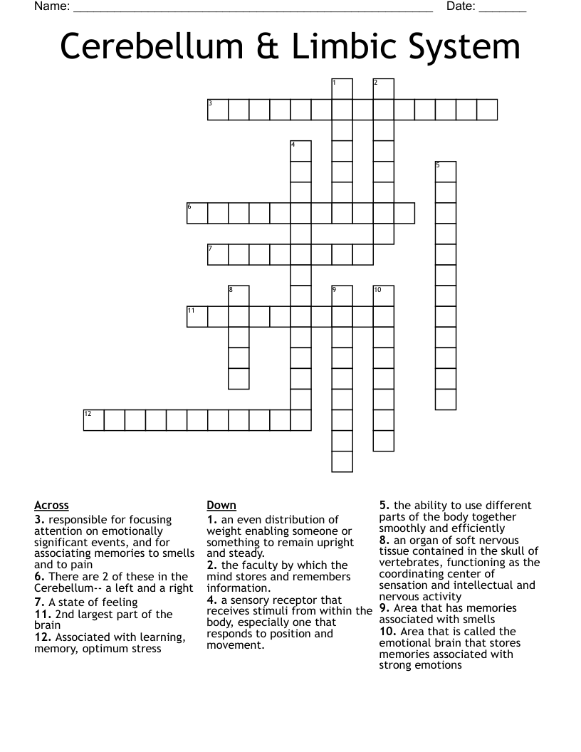 Cerebellum & Limbic System Crossword