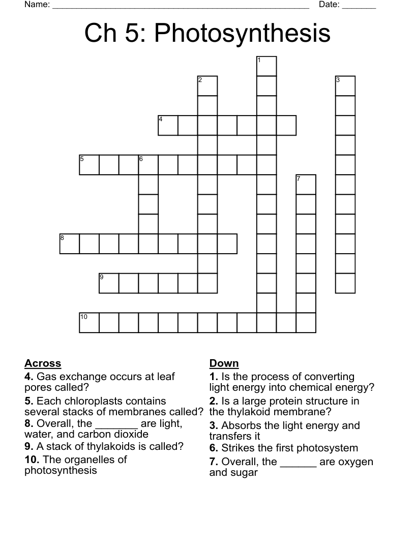 Ch 5: Photosynthesis Crossword