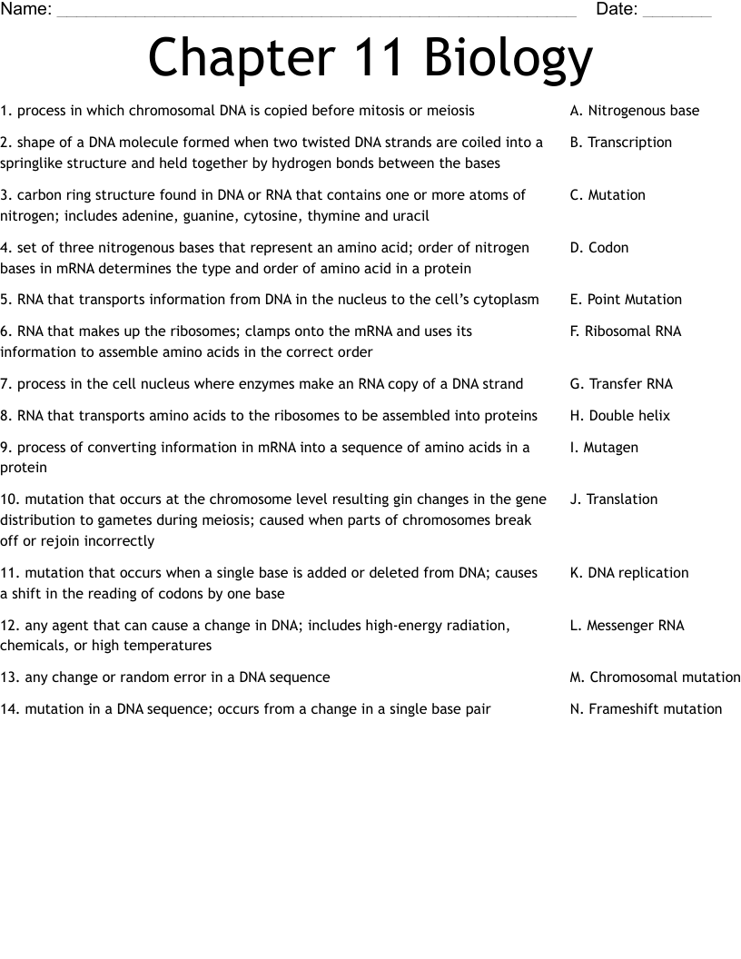 Chapter 11 Biology Worksheet - WordMint