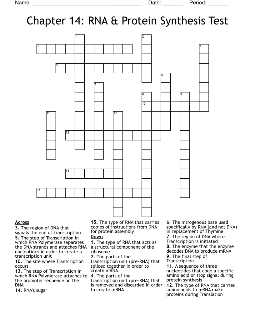 Chapter 14 RNA Protein Synthesis Test Crossword WordMint
