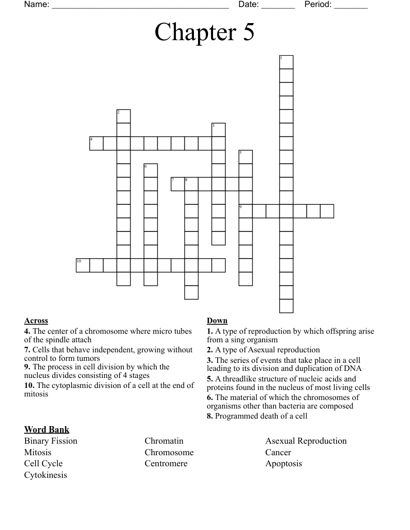 Chapter 5 Crossword WordMint