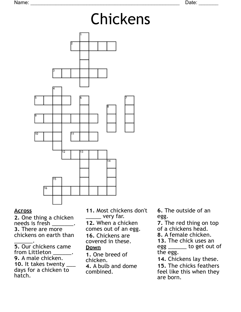 Young Chicken Eg Crossword Clue Snugpakponchoo