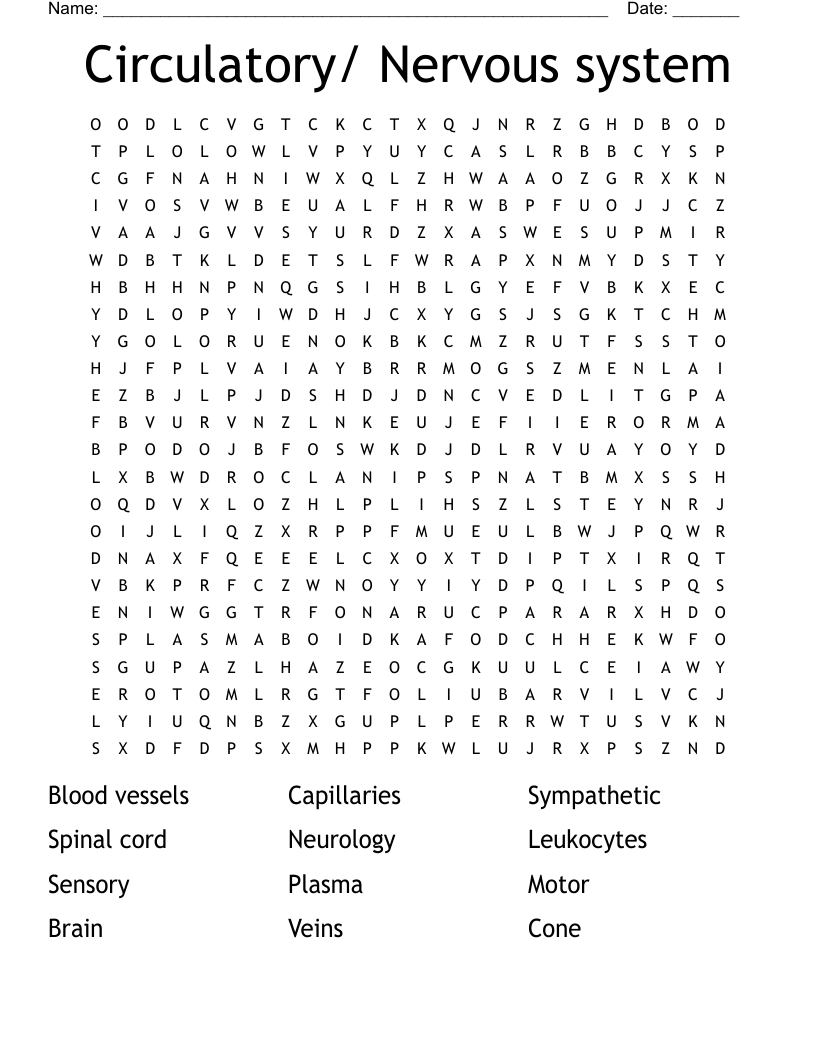 Circulatory/ Nervous system Word Search