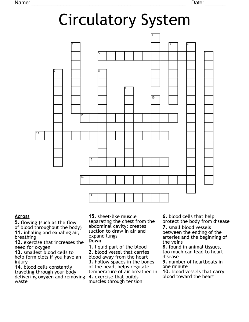 Circulatory System Puzzles WordMint