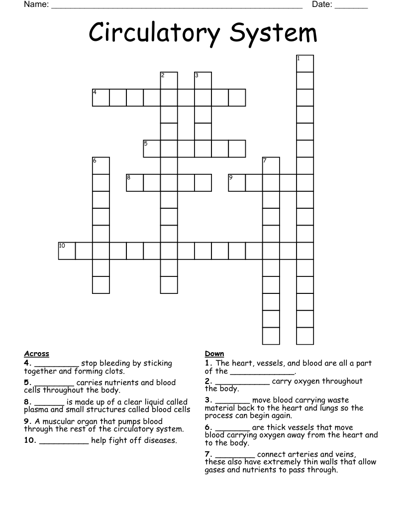 Circulatory System Word Search WordMint