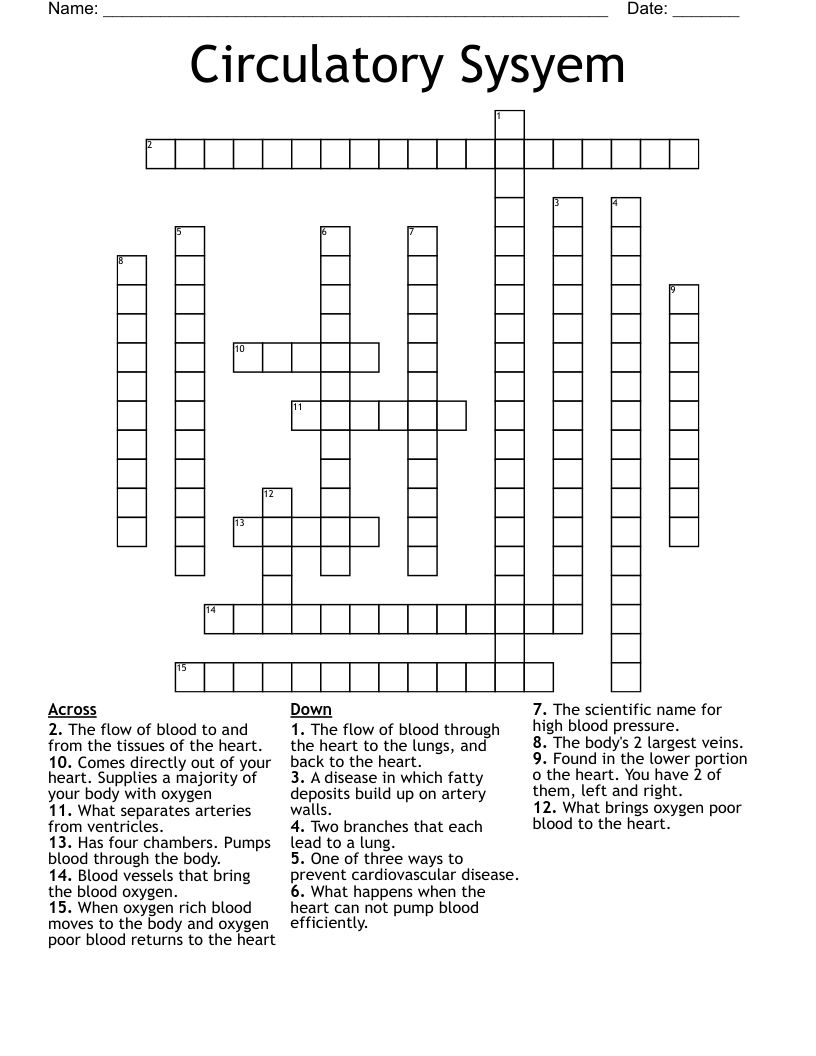 Circulatory Sysyem Crossword