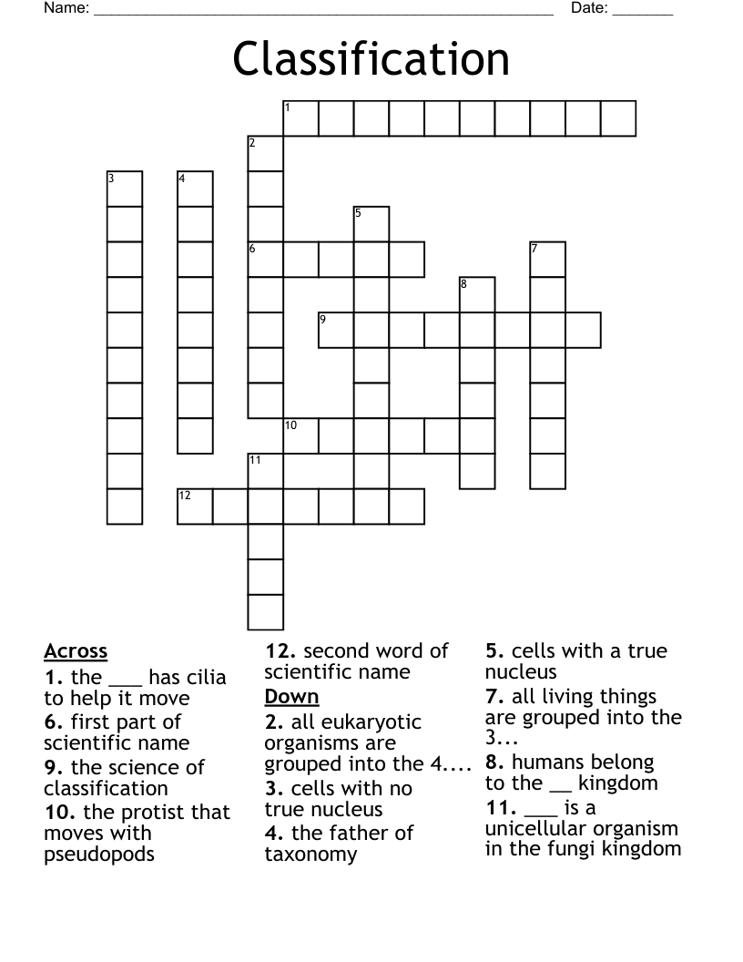 Classification Crossword WordMint