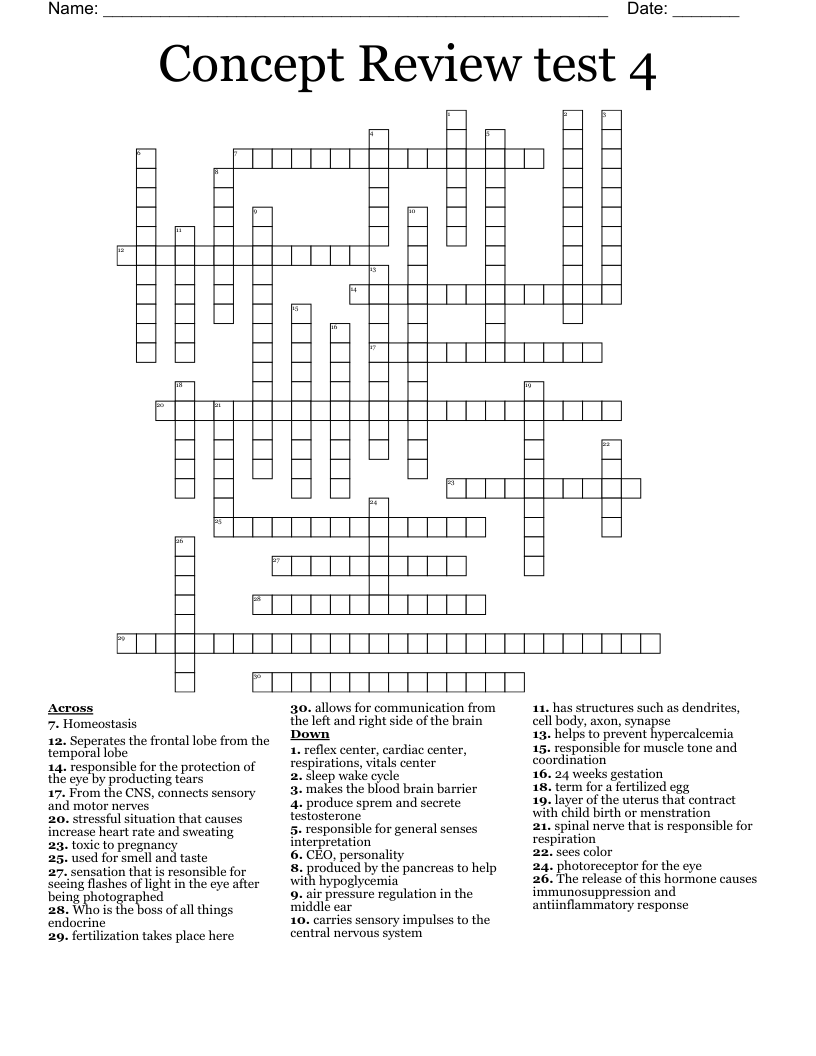 Concept Review test 4 Crossword
