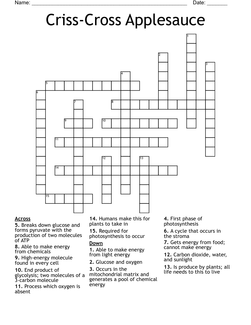 CrissCross Applesauce Crossword WordMint