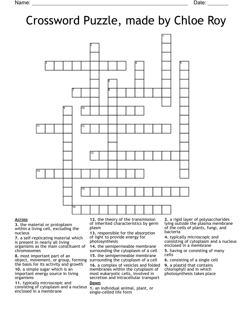 Crossword Puzzle, made by Chloe Roy