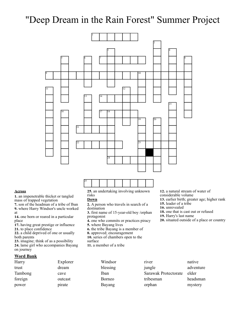 "Deep Dream in the Rain Forest" Summer Project