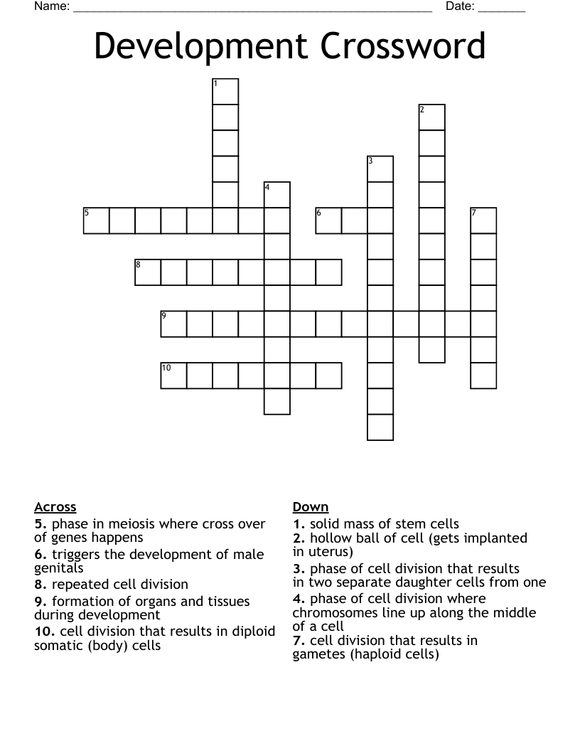Development Crossword WordMint