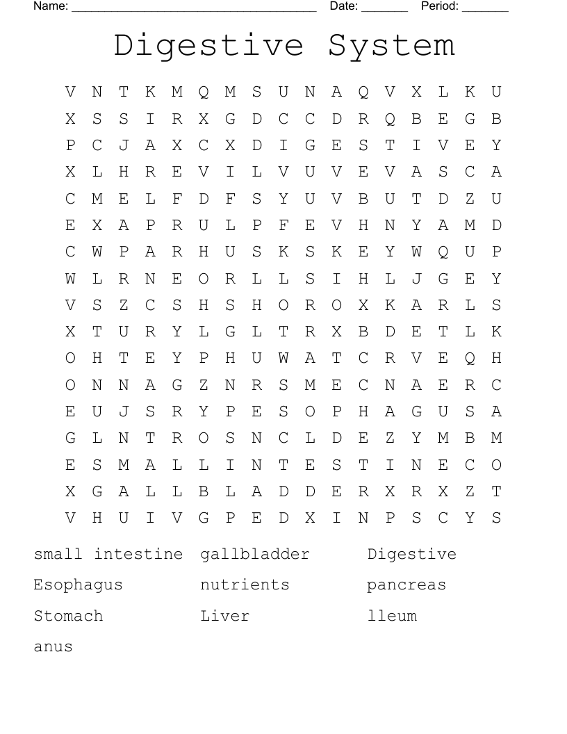 Digestive System Word Search