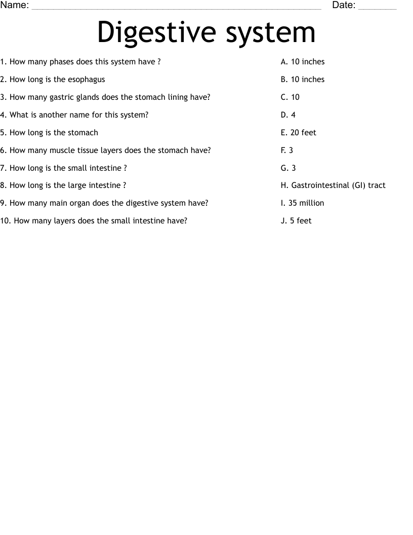 Digestive system  Worksheet