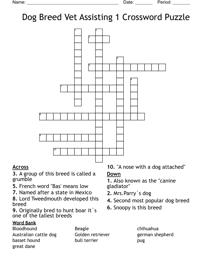 Dog Breed Vet Assisting 1 Crossword Puzzle WordMint