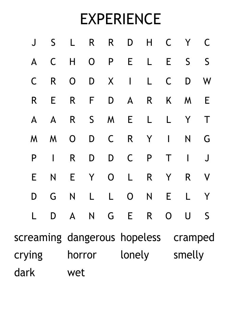 EXPERIENCE Word Search