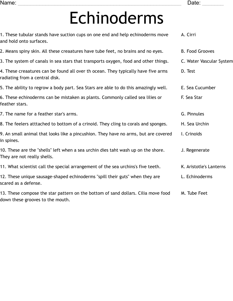 Echinoderms Worksheet - WordMint