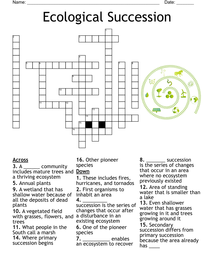 Ecological Succession Crossword - WordMint Inside Ecological Succession Worksheet Answers