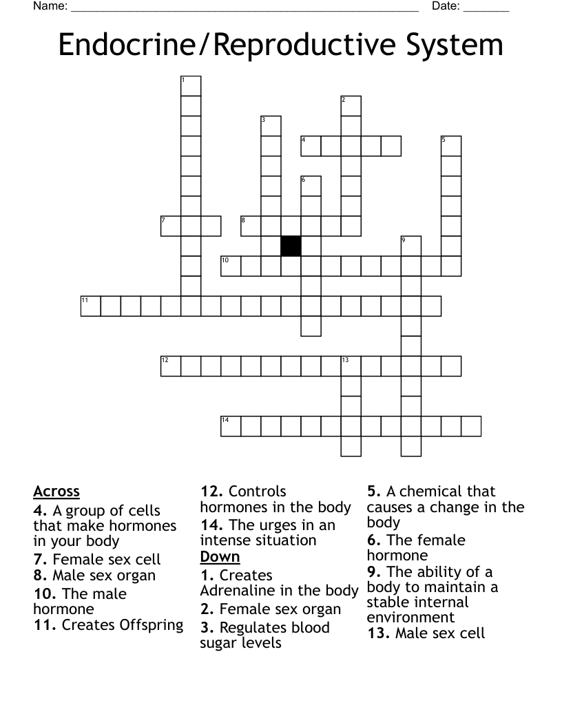 Endocrine/Reproductive System Crossword