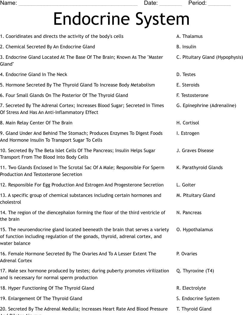 Endocrine System Worksheet - WordMint